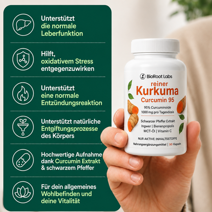 Kurkuma Curcumin Leber Komplex – 1.000 mg