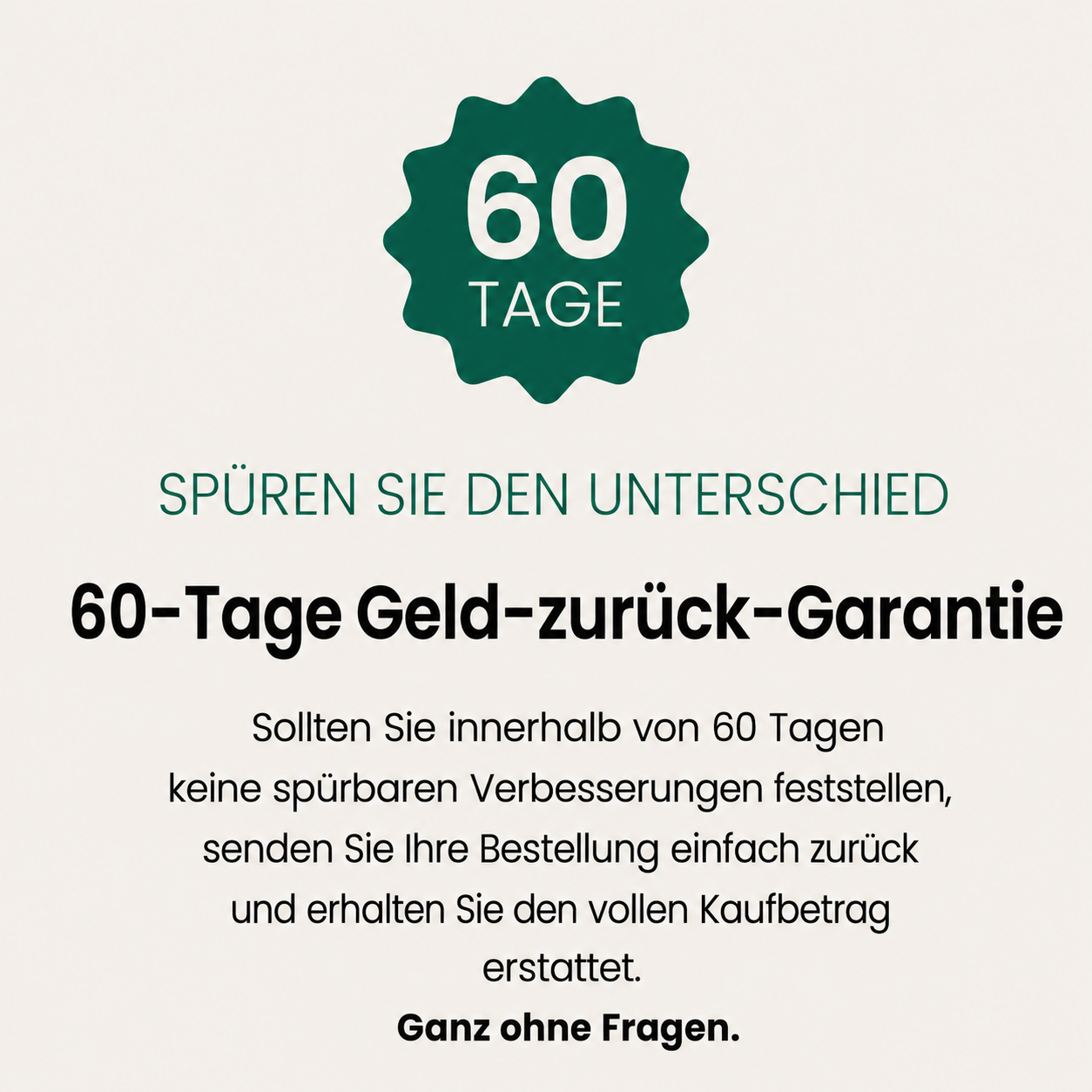 Kurkuma Curcumin Leber Komplex – 1.000 mg
